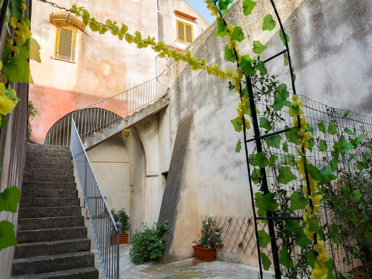 Al Vicolo Stretto Bed and Breakfast Santa Maria a Vico Exteriör bild